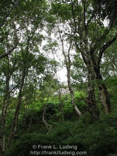 Around Slieve Dargan